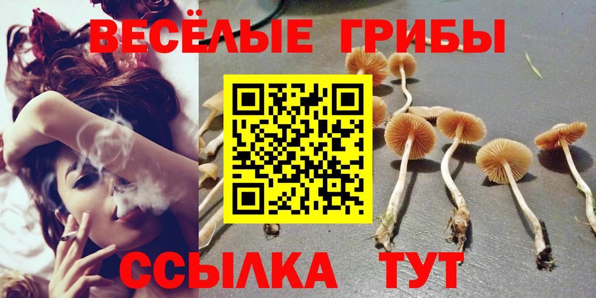 Арзамас  Псилоцибиновые грибы Magic Shrooms  Вход с VPN 